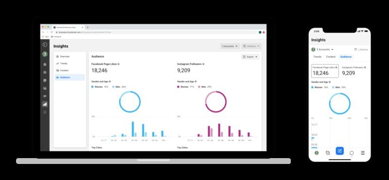 Insight Facebook Business Suite